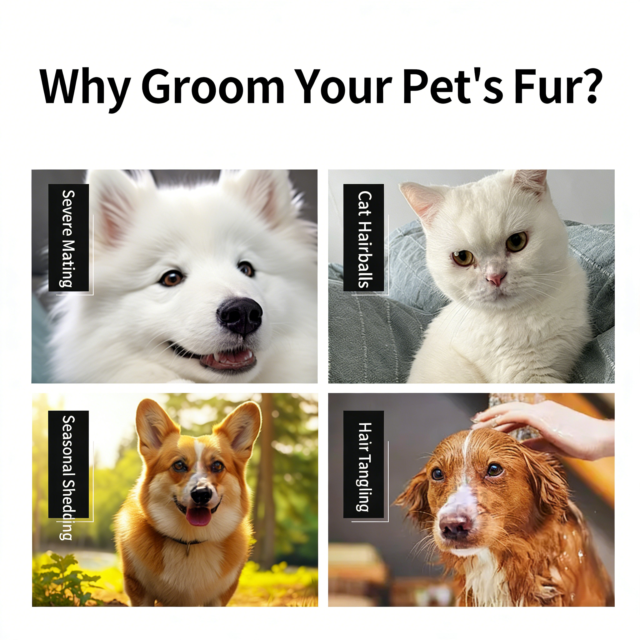 2541766993792_