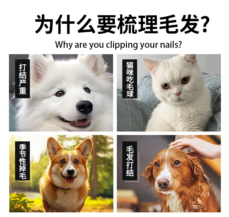 宠物梳_03